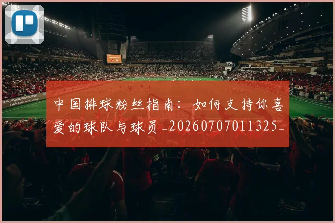 中国排球粉丝指南：如何支持你喜爱的球队与球员_20260707011325_20260716182302